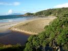 Tawharanui Beach